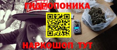 индика Апрелевка