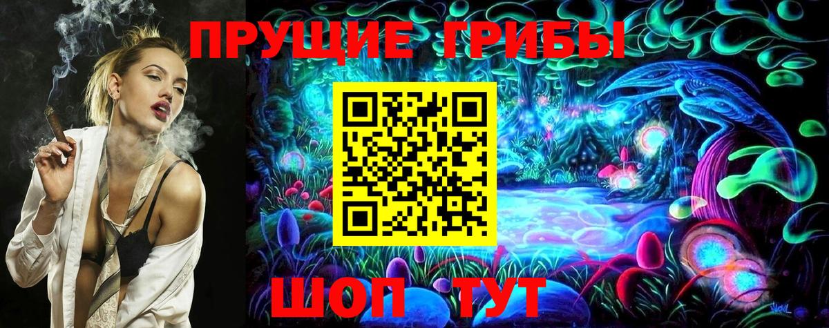 Псилоцибиновые грибы мухоморы  где найти   Псилоцибиновые грибы прущие грибы  Белово  Вход с VPN 