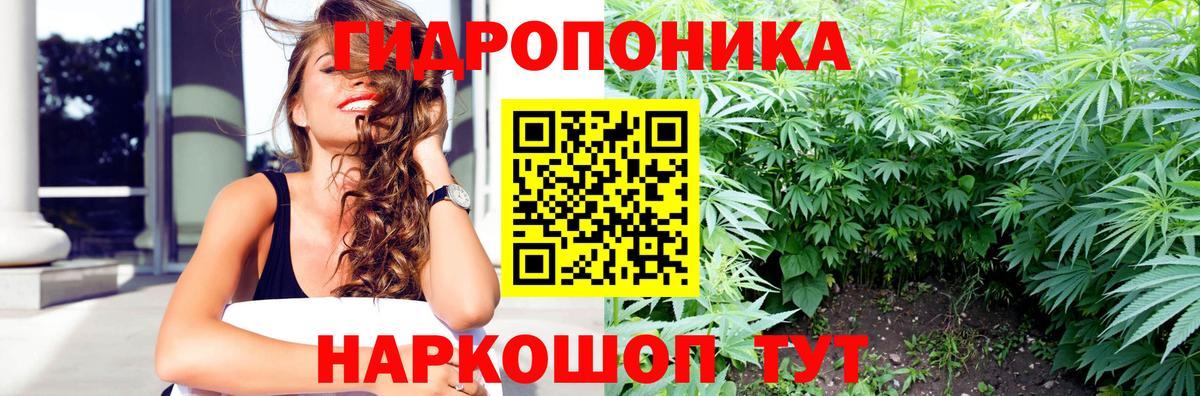 Конопля AK-47 Белово